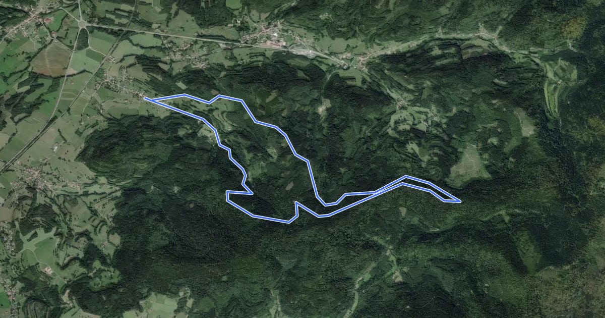 Маршрут Circuit de Lesseux на спутниковом снимке