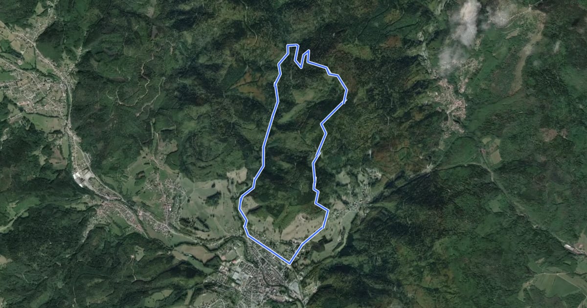 Маршрут Circuit de Masevaux на спутниковом снимке