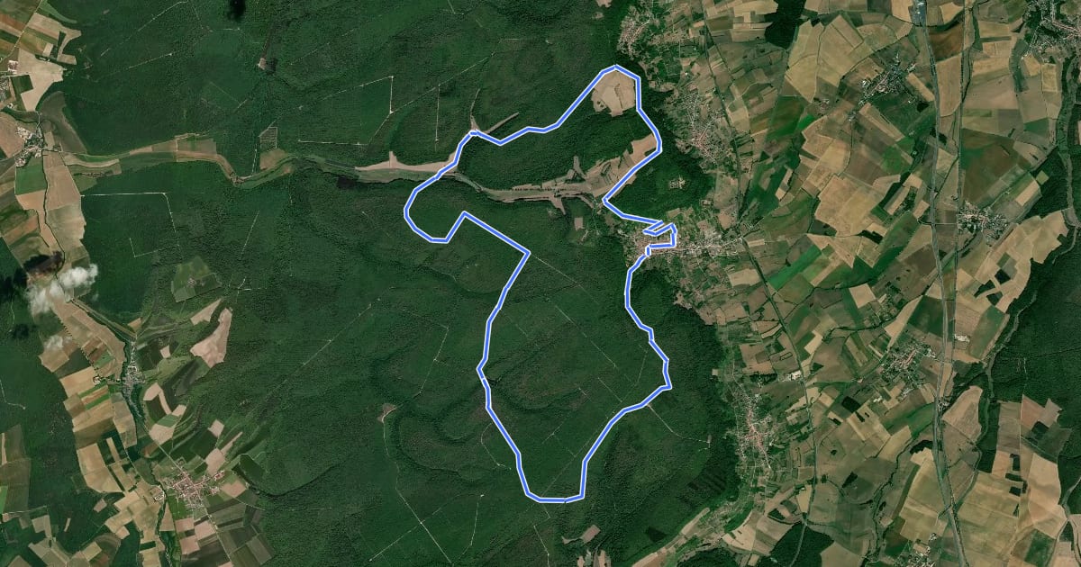 Маршрут Circuit de Meine à Saint-Fiacre на спутниковом снимке
