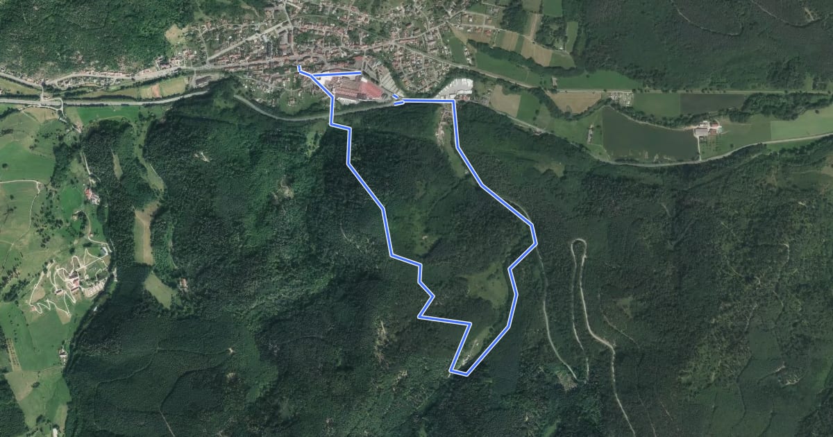 Маршрут Circuit de Mollenbach на спутниковом снимке