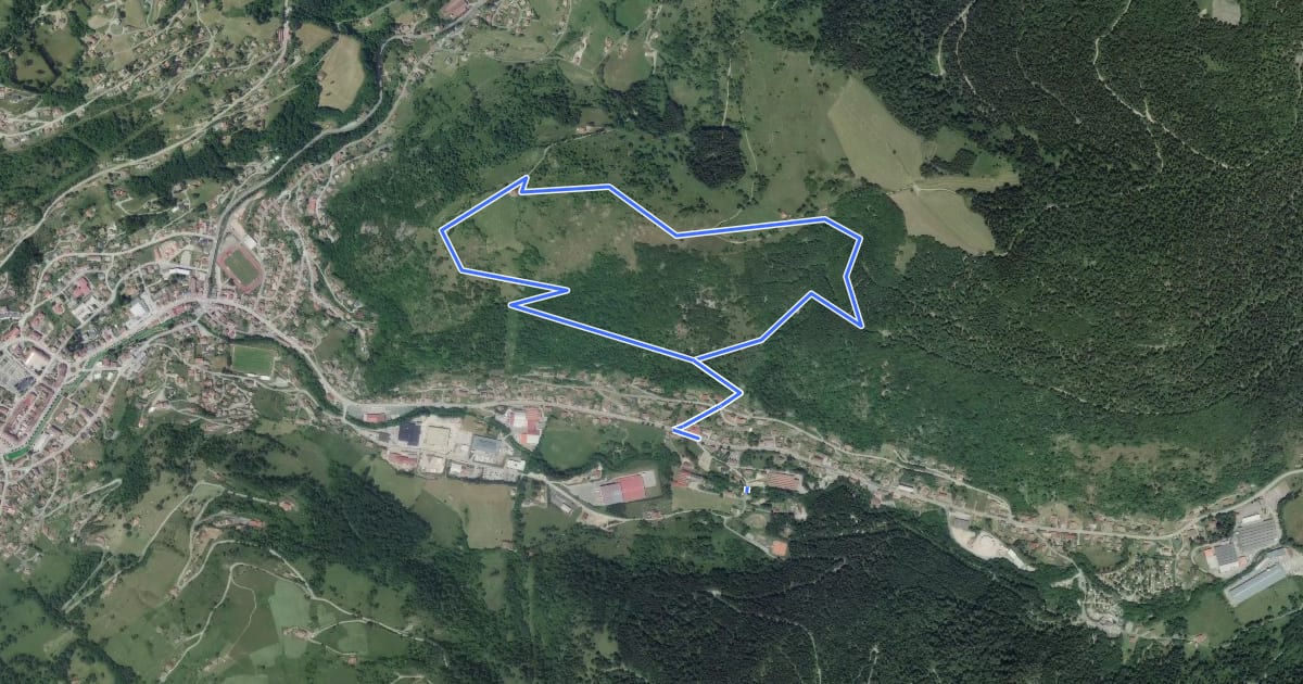 Маршрут Circuit de Moyenmont на спутниковом снимке
