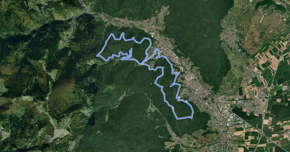 Маршрут Circuit de Murbach на спутниковом снимке