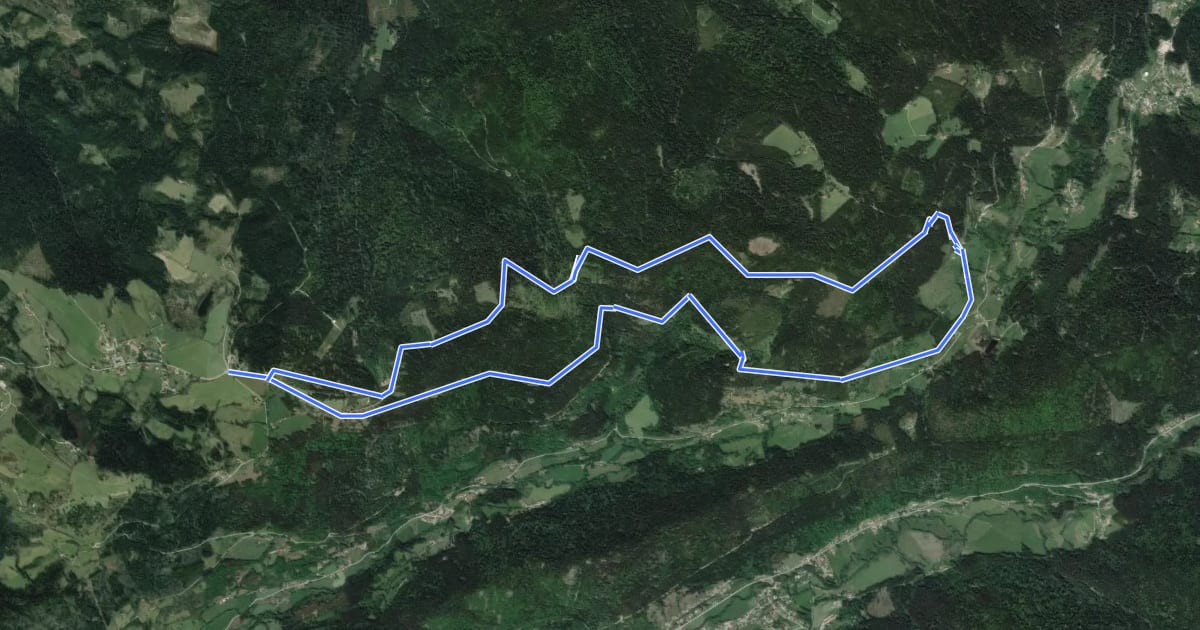 Маршрут Circuit de Neuve-Roche на спутниковом снимке