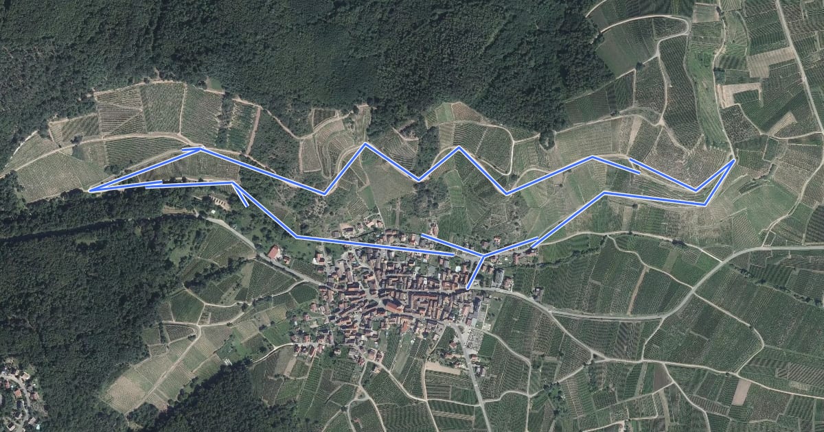 Маршрут Circuit de Niedermorschwihr на спутниковом снимке