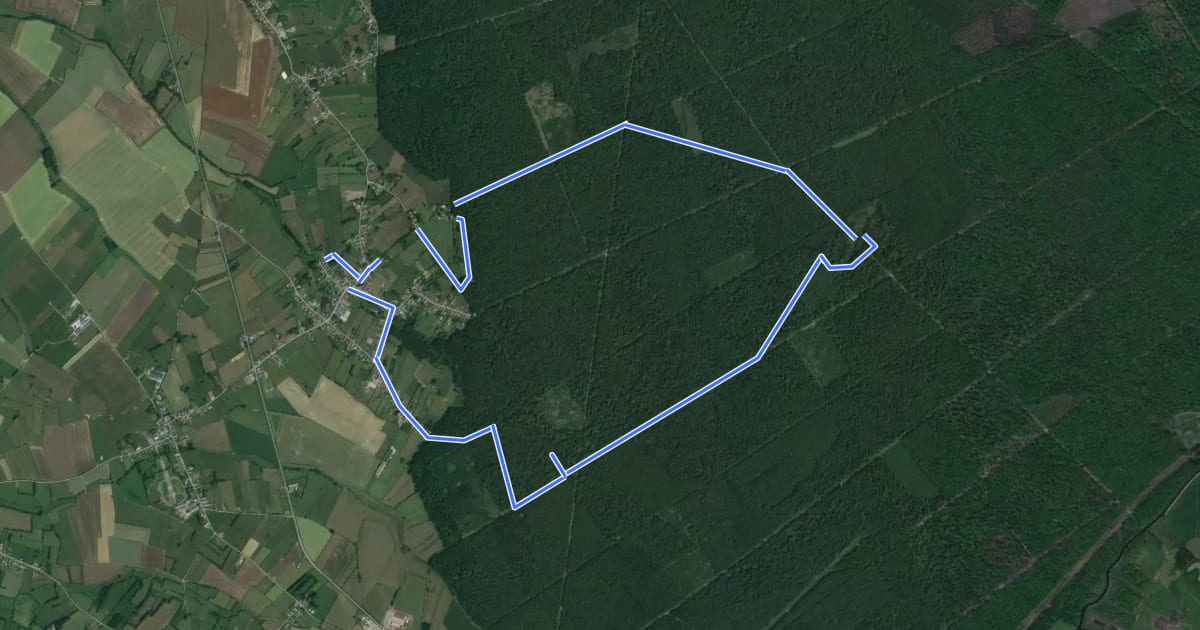 Маршрут Circuit de Preux-au-Bois на спутниковом снимке
