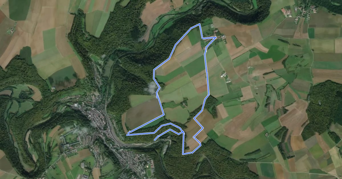 Маршрут Circuit de Revémont на спутниковом снимке