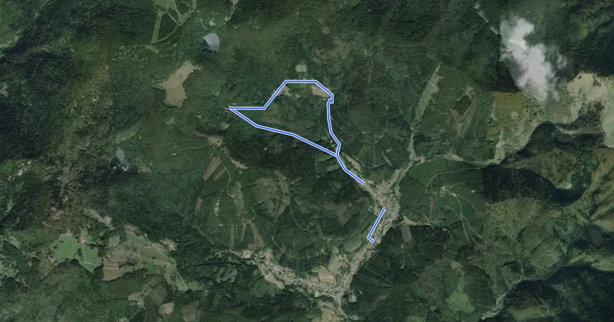Маршрут Circuit de Rimbach-près-Masevaux на спутниковом снимке
