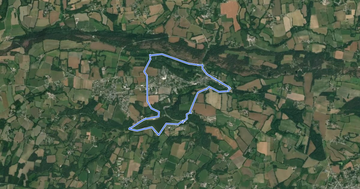 Маршрут Circuit de Rochefort на спутниковом снимке