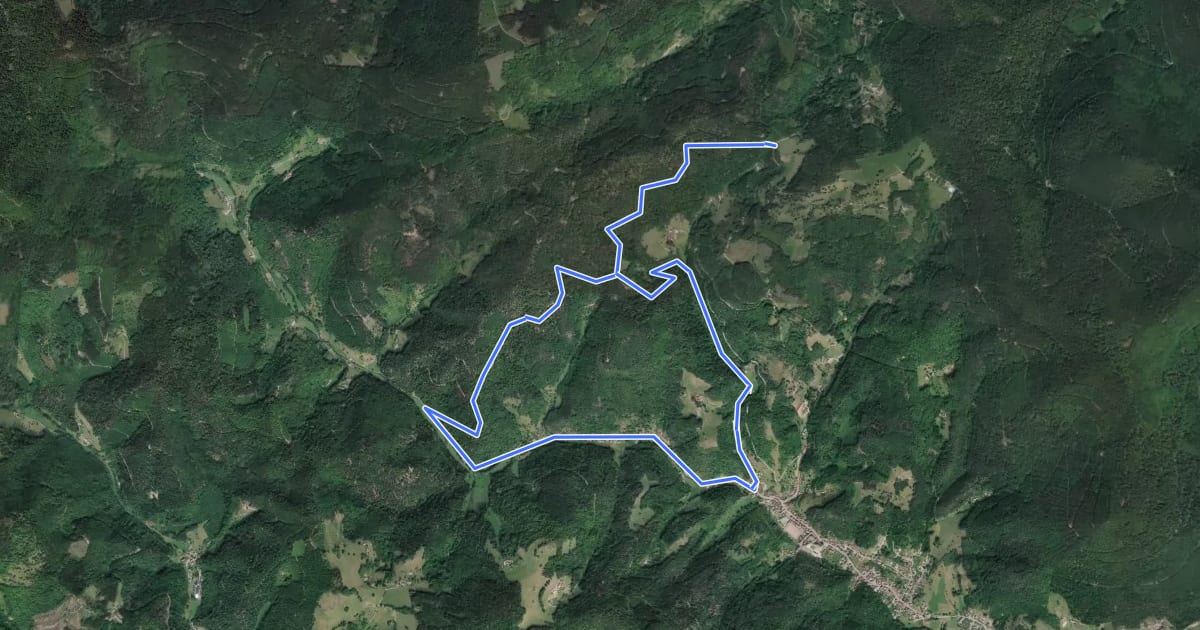 Маршрут Circuit de Rombach-le-Franc на спутниковом снимке