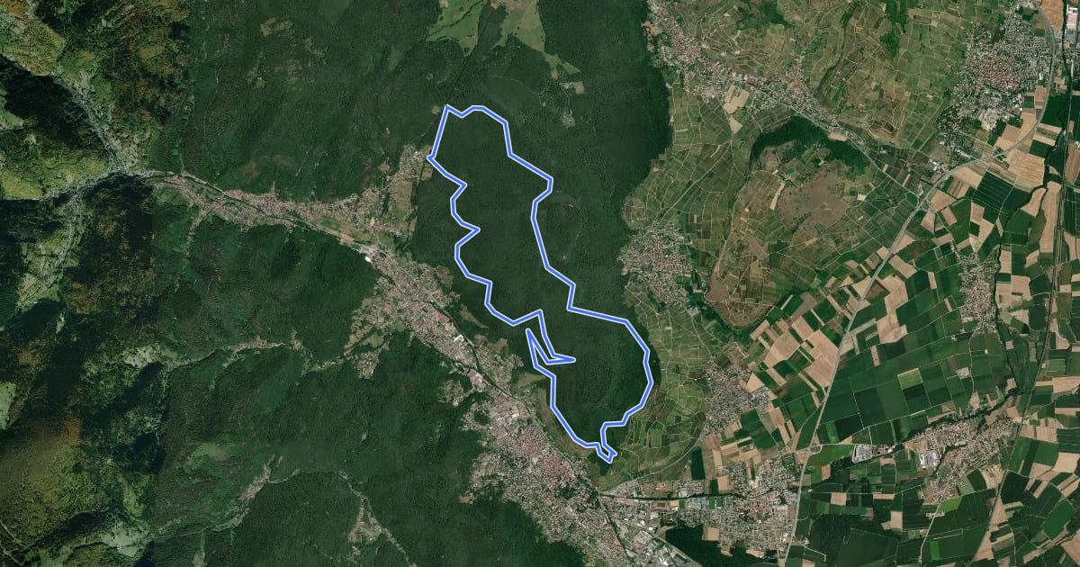 Маршрут Circuit de Saint Gangolphe на спутниковом снимке