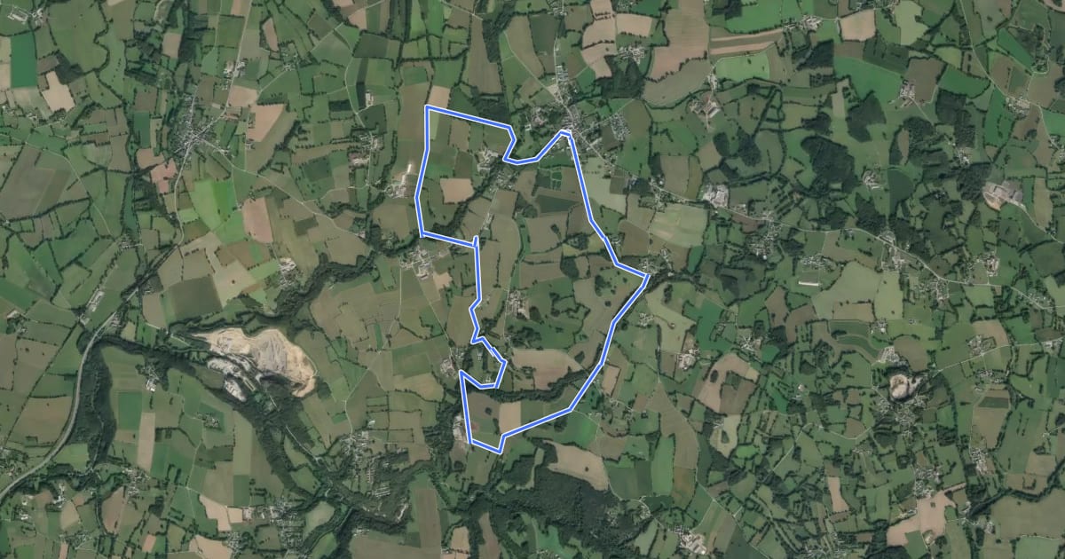Маршрут Circuit de Saint-Georges на спутниковом снимке