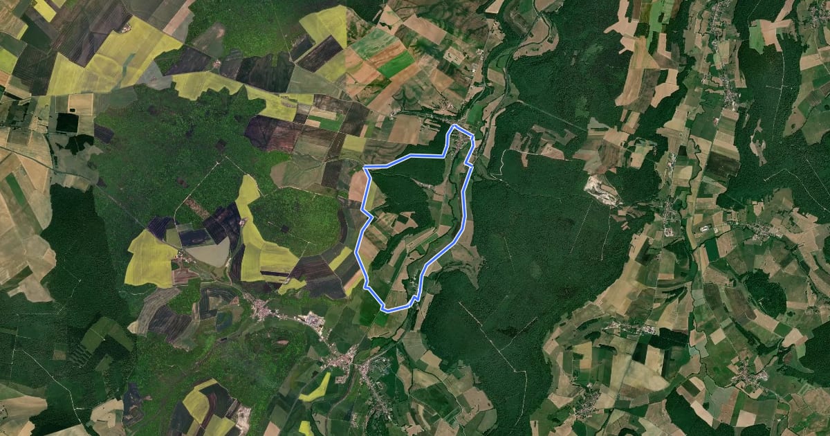 Маршрут Circuit de Saint Roch на спутниковом снимке