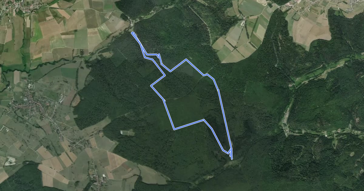Маршрут Circuit de Saumuehle на спутниковом снимке