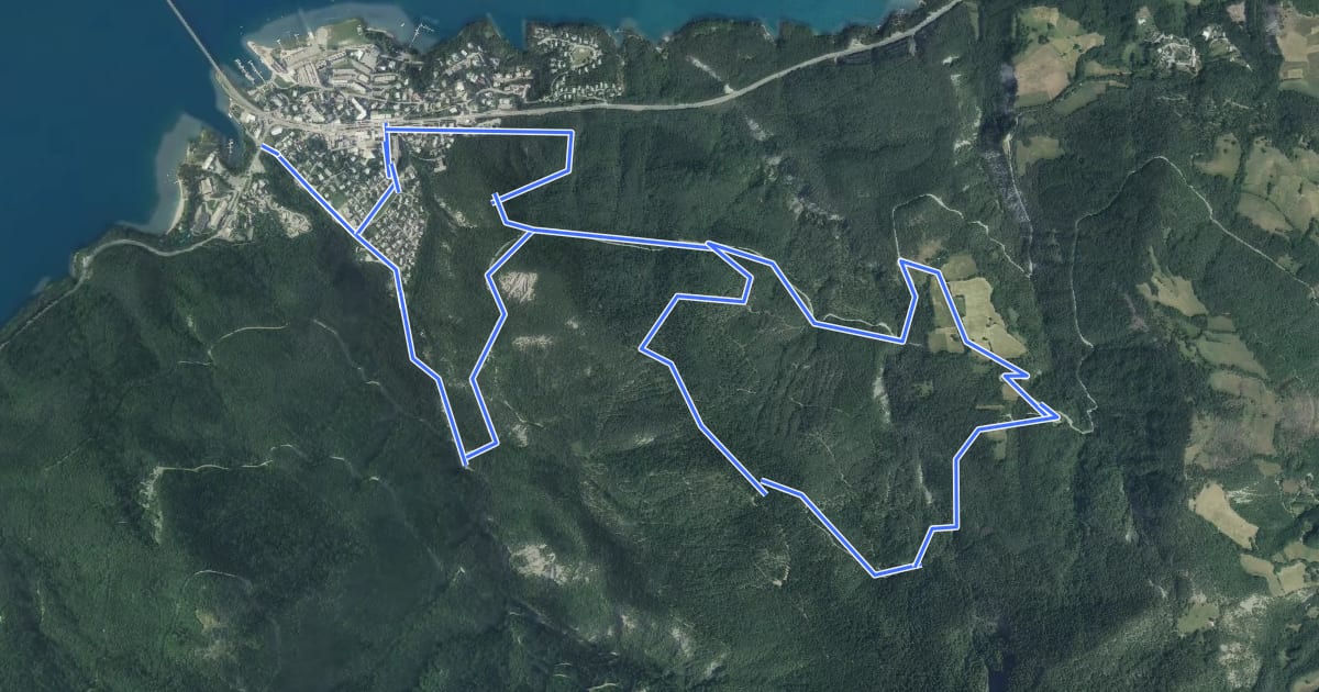 Маршрут Circuit de Serre Verger на спутниковом снимке