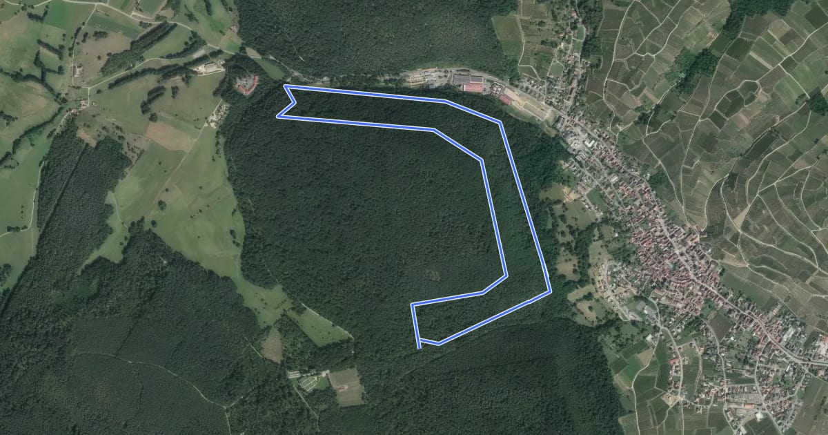 Маршрут Circuit de Soultmatt на спутниковом снимке