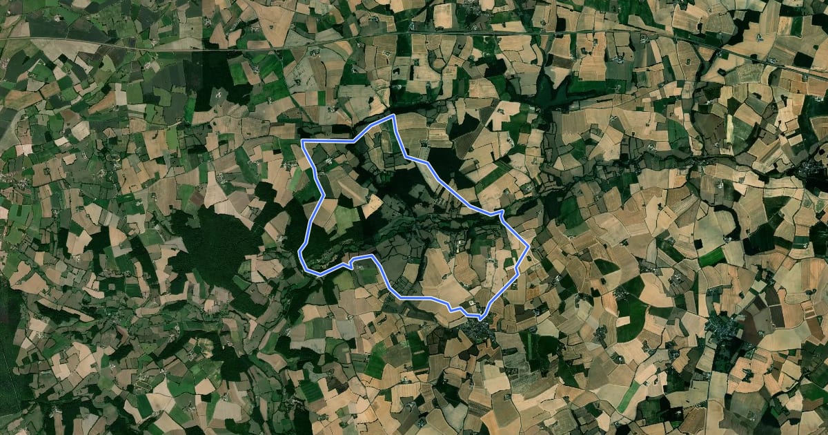 Маршрут Circuit de Taillefer на спутниковом снимке