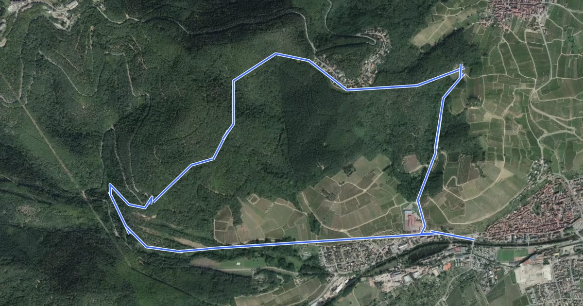 Маршрут Circuit de Turckheim на спутниковом снимке