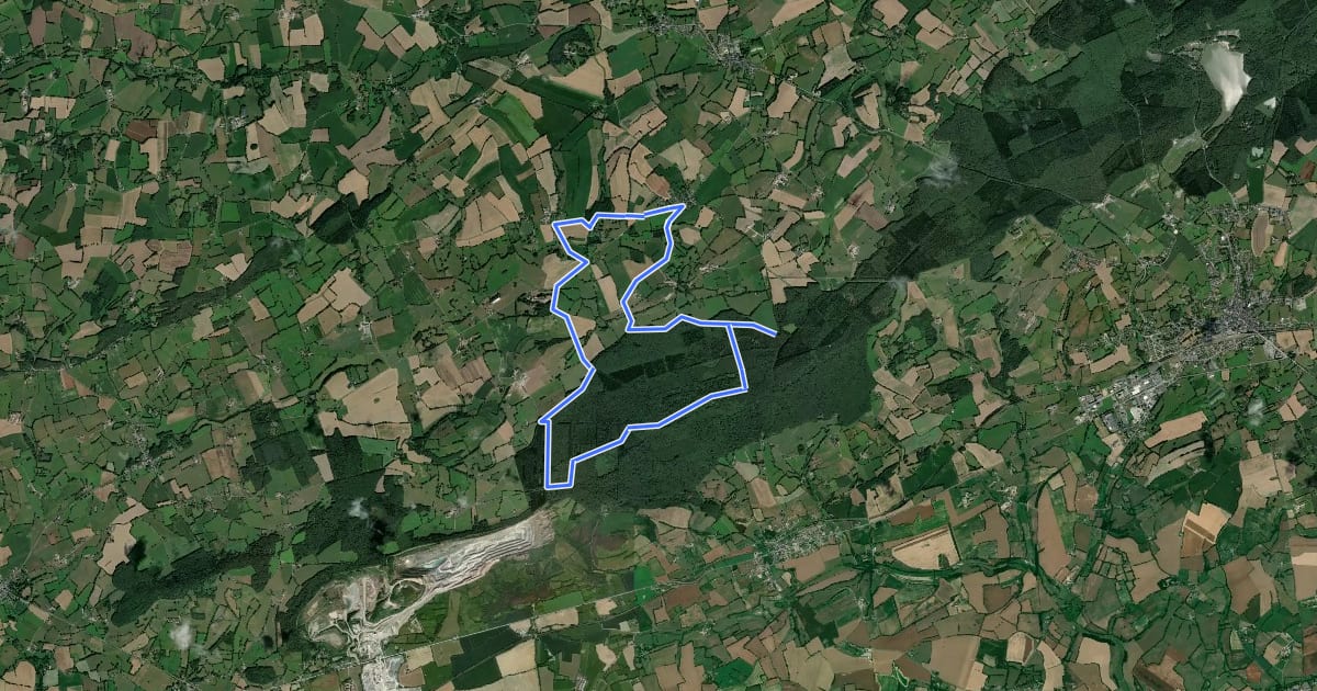 Маршрут Circuit de Vimarcé на спутниковом снимке