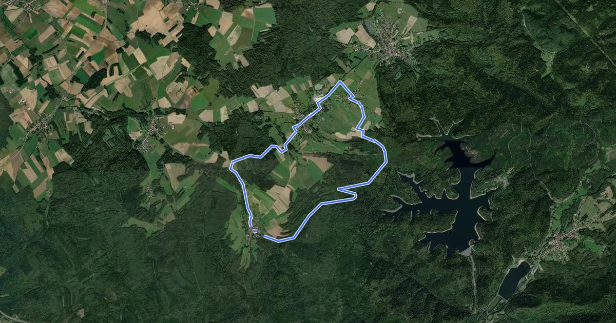Маршрут Circuit de Viombois на спутниковом снимке