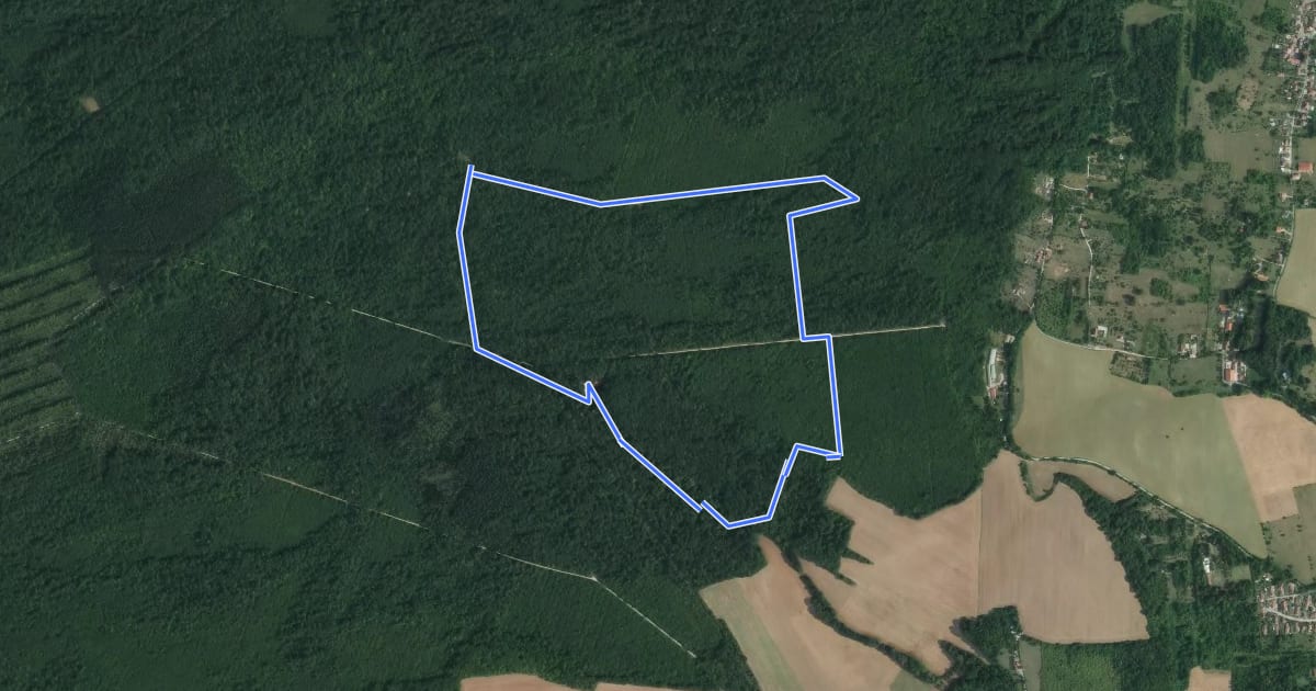 Маршрут Circuit des Antonistes на спутниковом снимке