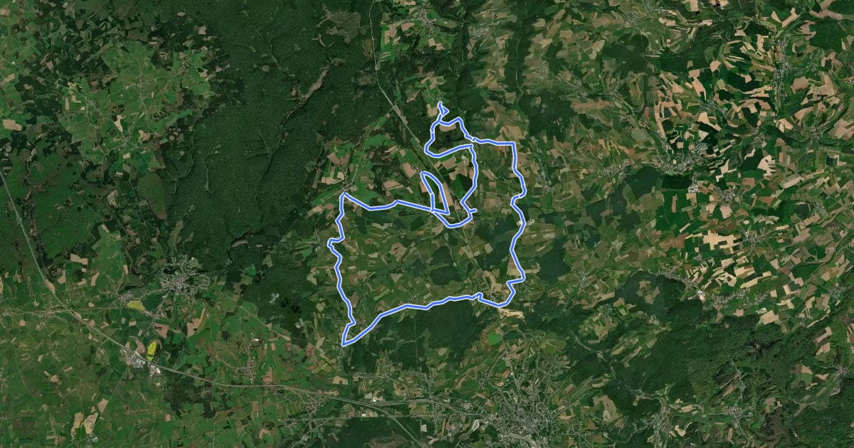 Маршрут Circuit des arbres remarquables на спутниковом снимке