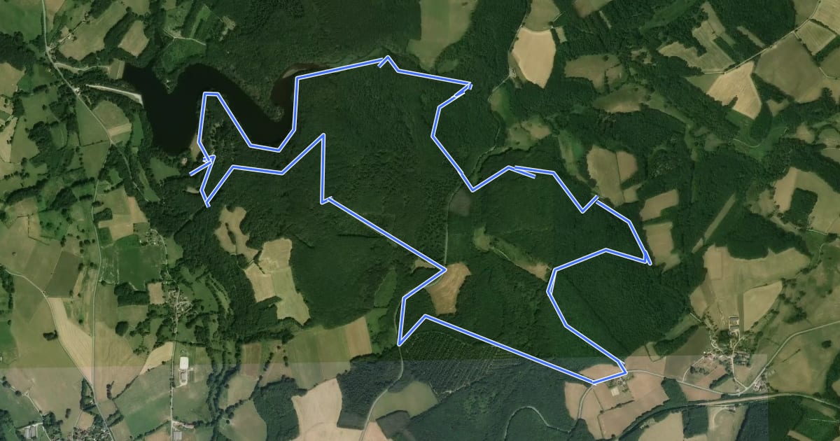 Маршрут Circuit des Aurieres - Boucle Nord на спутниковом снимке