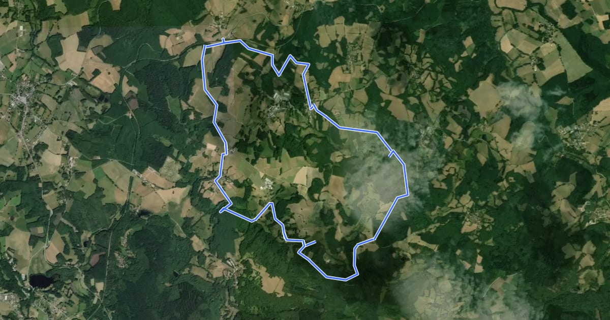 Маршрут Circuit des Aurieres - Boucle Sud на спутниковом снимке