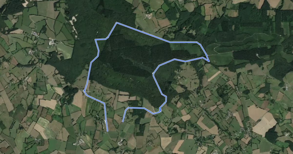 Маршрут Circuit des Avaloirs на спутниковом снимке