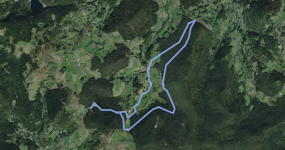 Маршрут Circuit des Basses Huttes на спутниковом снимке