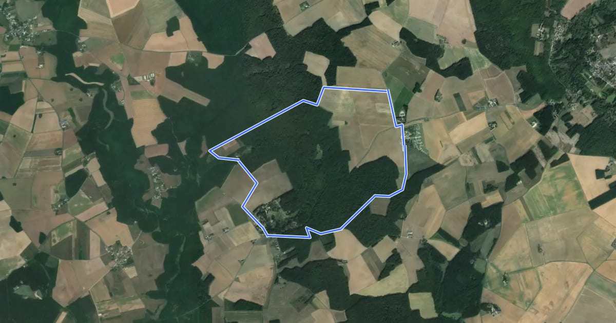 Маршрут Circuit des Bois на спутниковом снимке