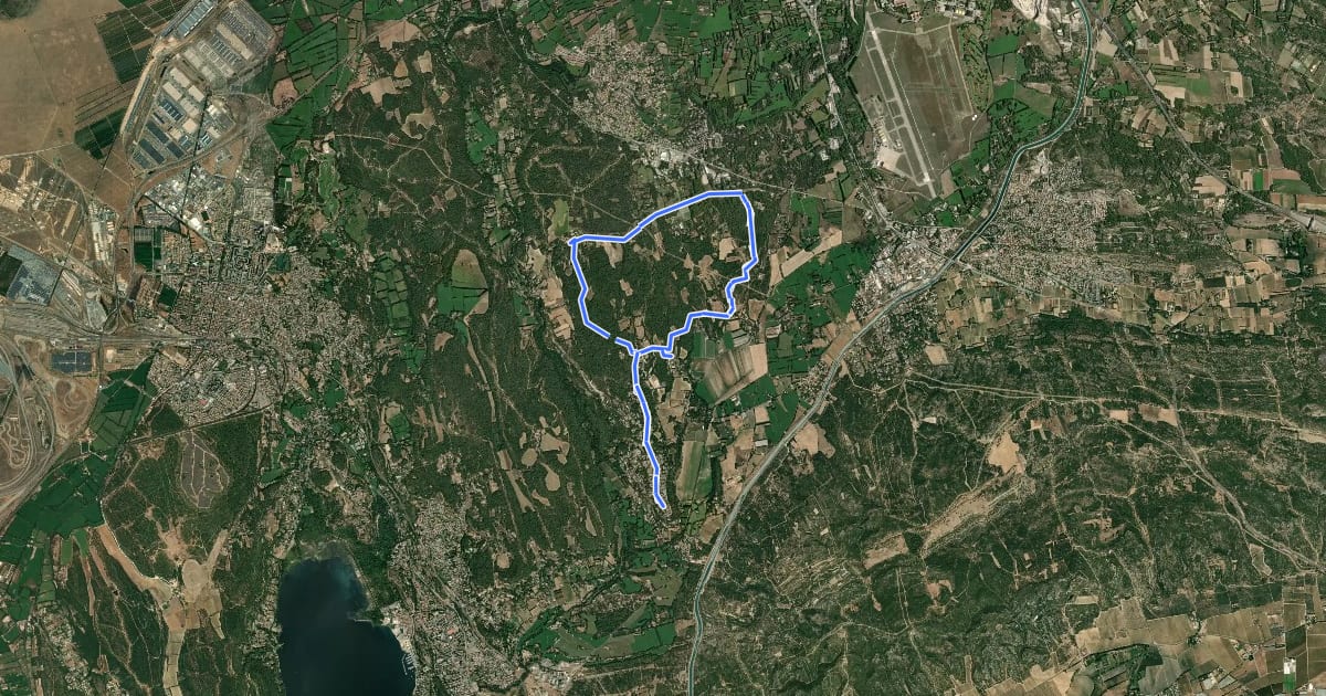 Маршрут Circuit des bories на спутниковом снимке