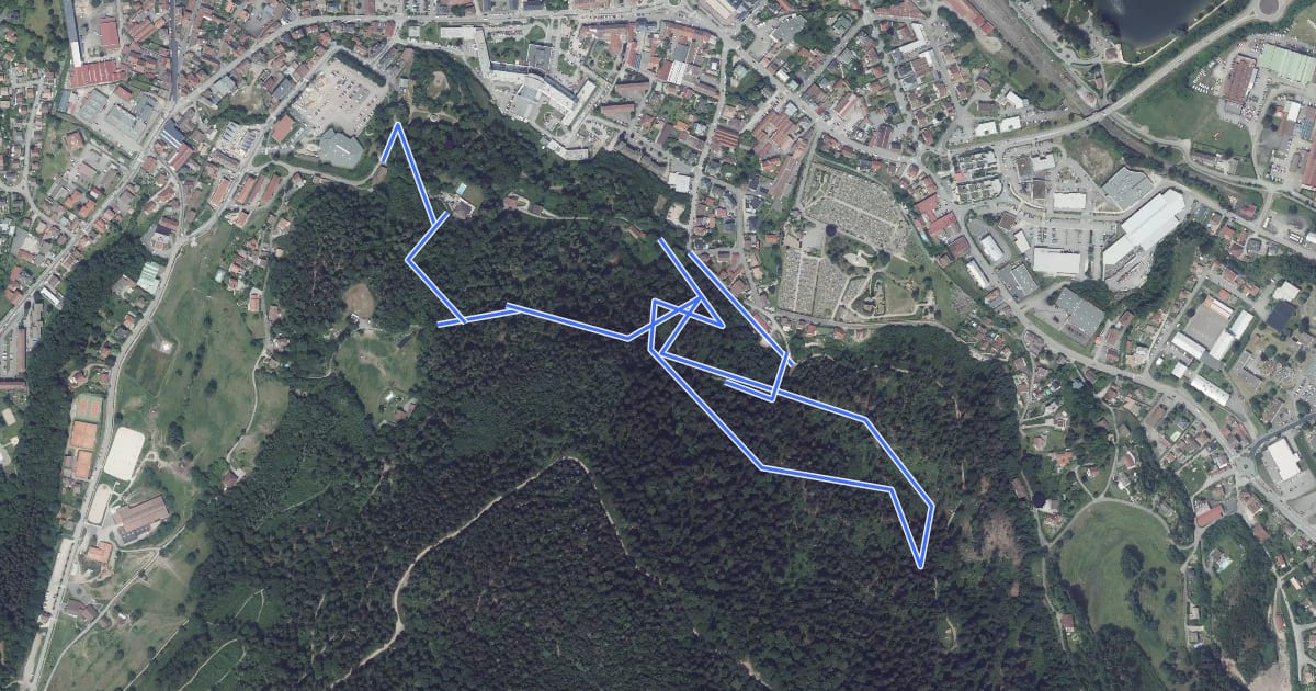Маршрут Circuit des Bruyères на спутниковом снимке