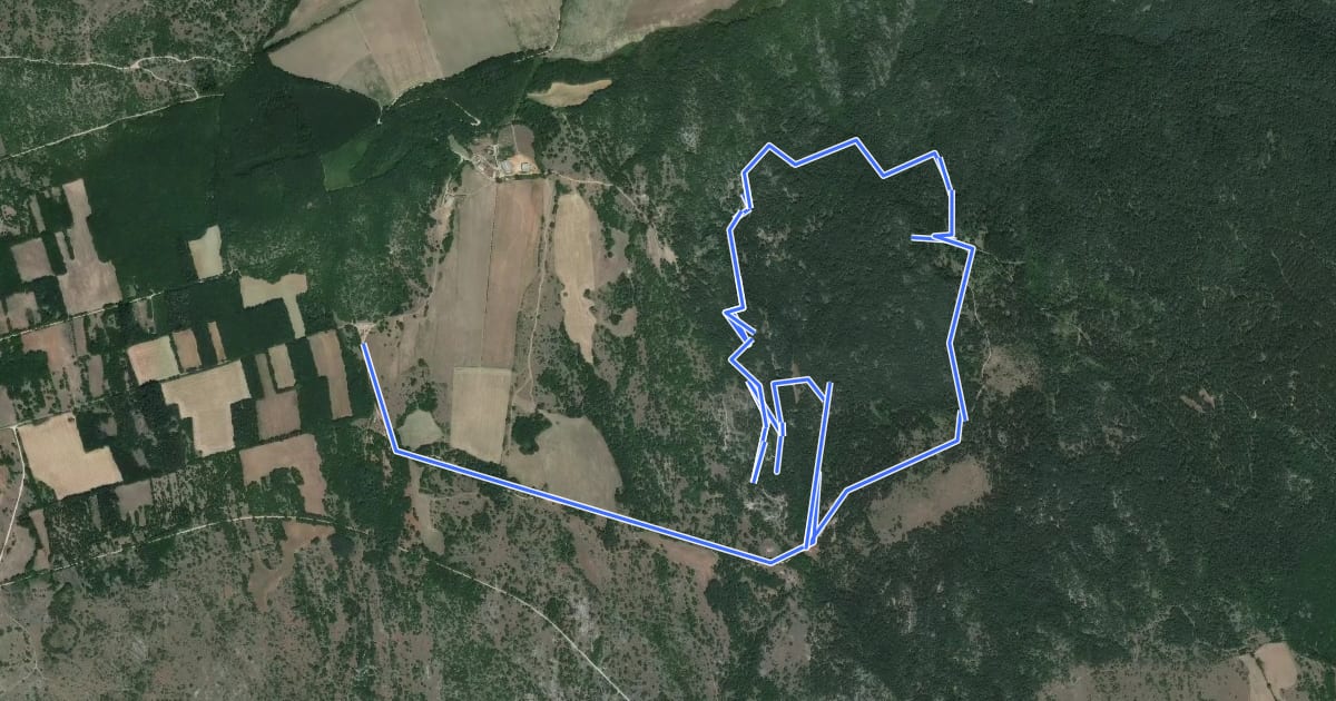 Маршрут Circuit des Canoles par la maison forestière на спутниковом снимке
