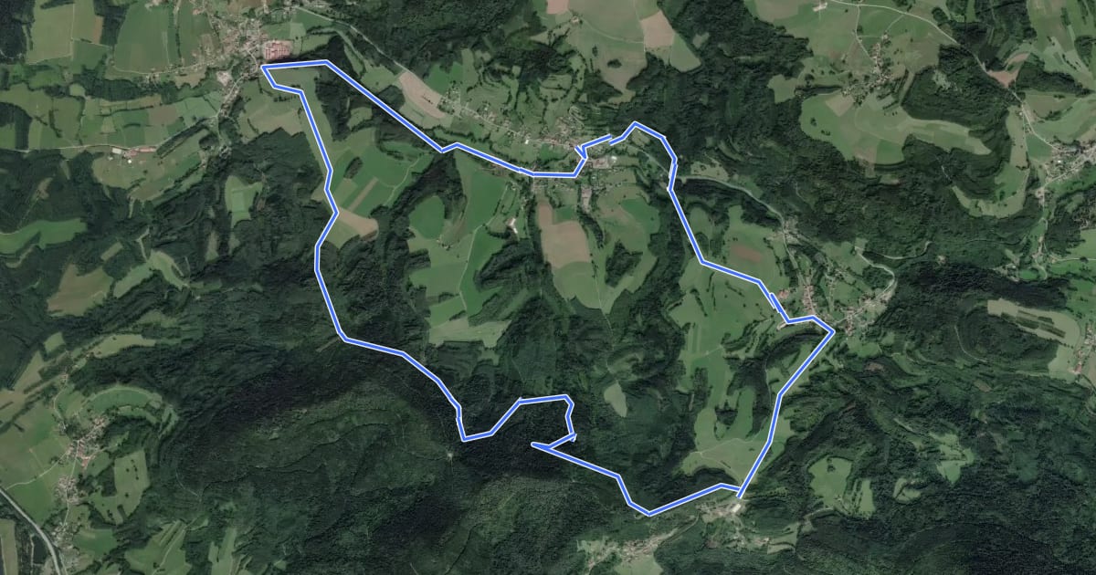 Маршрут Circuit des Chéneaux на спутниковом снимке