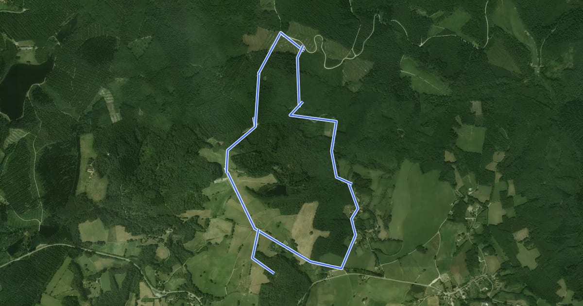 Маршрут Circuit des Charbonnières на спутниковом снимке