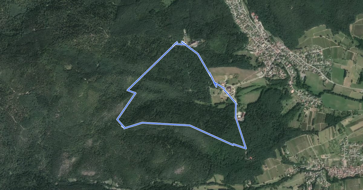 Маршрут Circuit des Charbonniers на спутниковом снимке