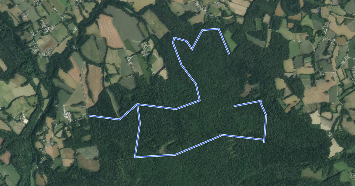 Маршрут Circuit des charbonniers на спутниковом снимке