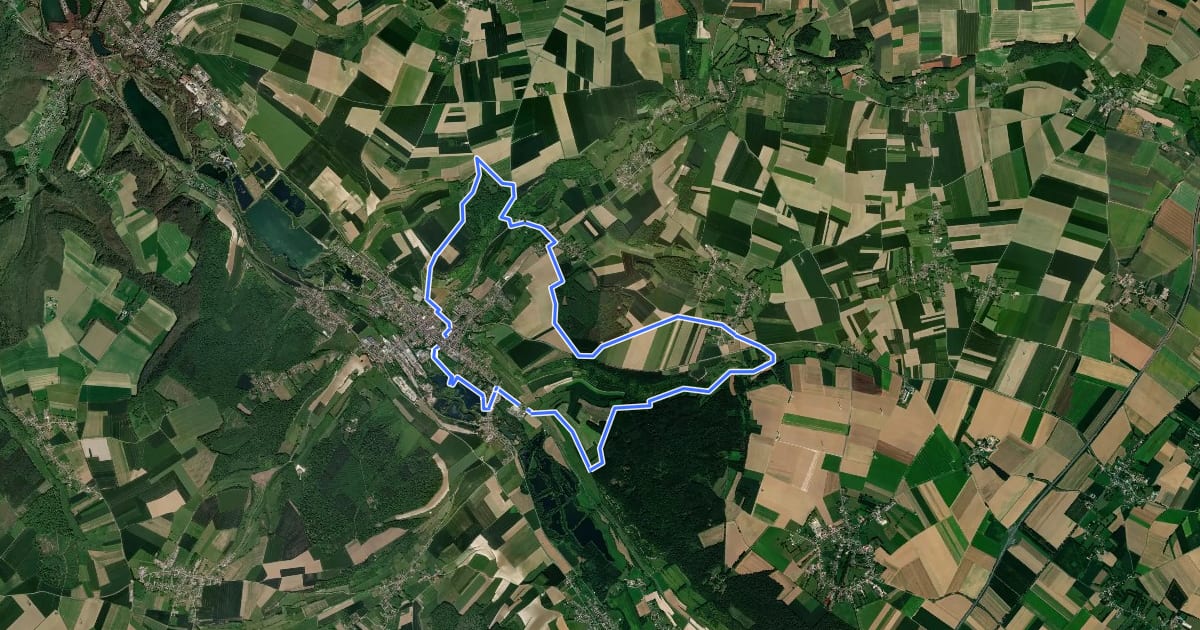 Маршрут Circuit des Charbonniers на спутниковом снимке
