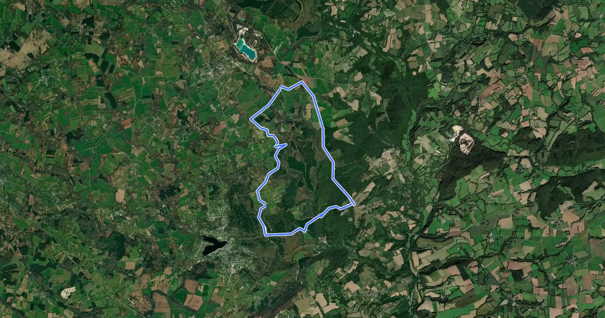 Маршрут Circuit des Chevreuils на спутниковом снимке