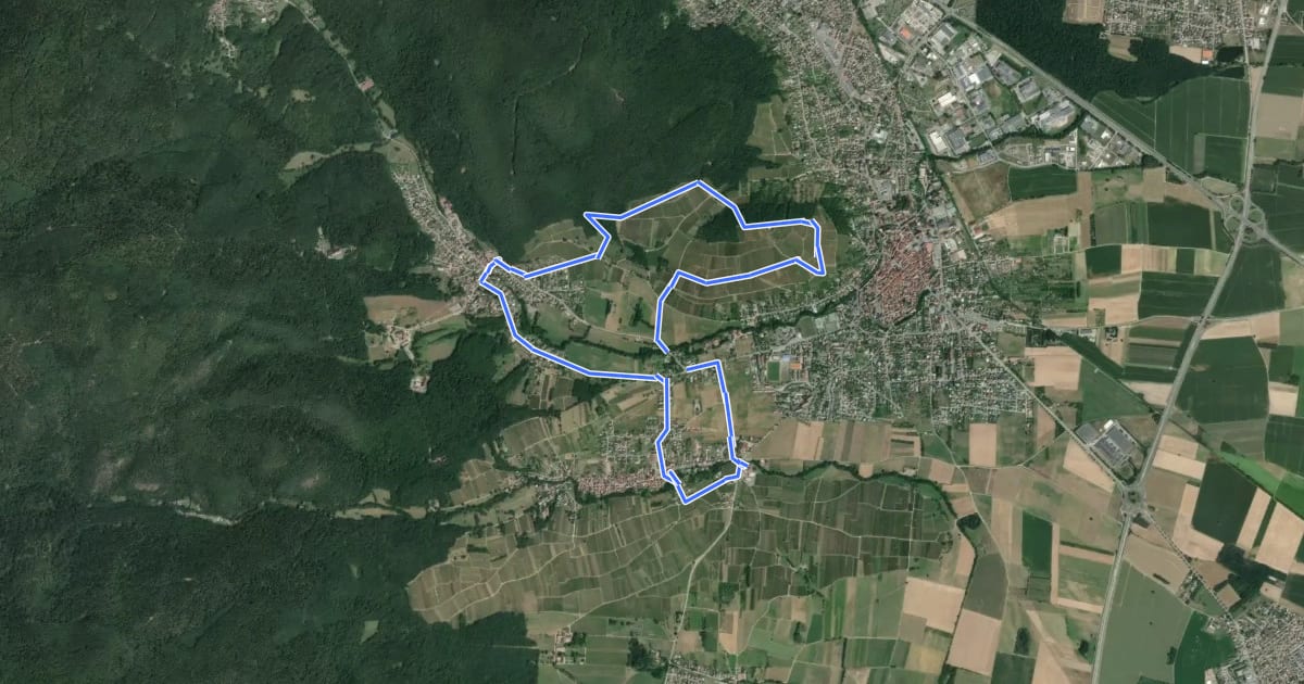 Маршрут Circuit des Cigognes на спутниковом снимке