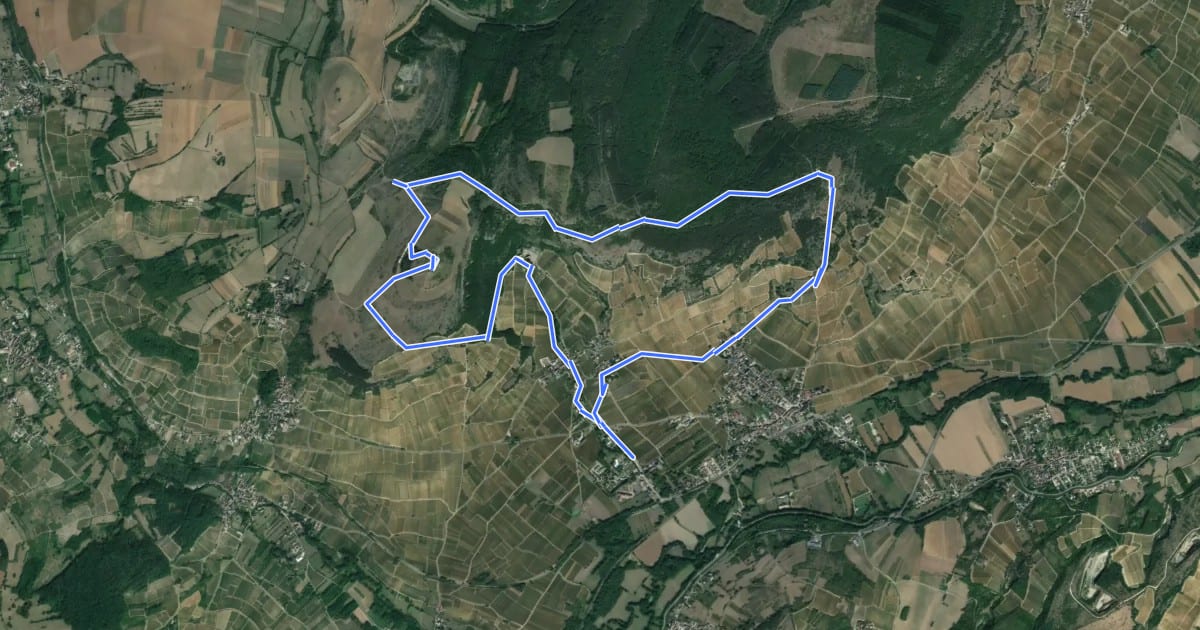 Маршрут Circuit des Crêtes на спутниковом снимке