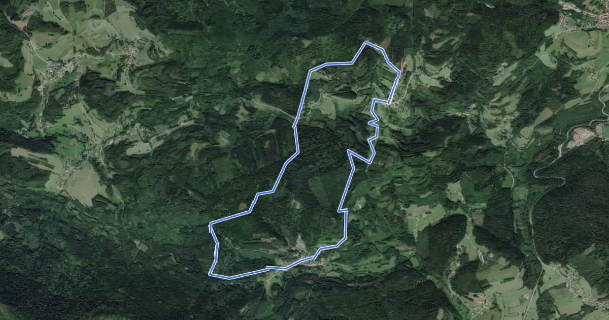 Маршрут Circuit des deux cols на спутниковом снимке