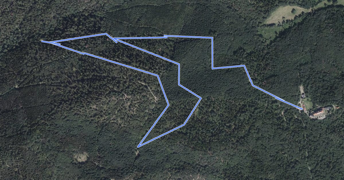 Маршрут Circuit des Douglas на спутниковом снимке