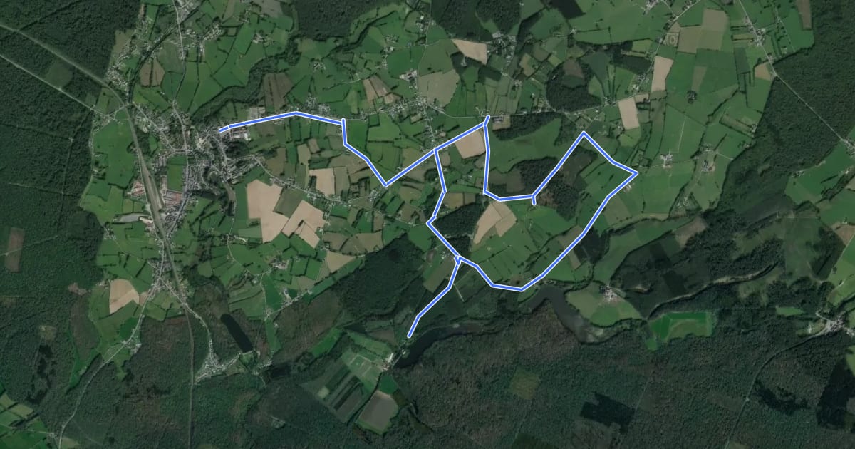 Маршрут Circuit des Etangs на спутниковом снимке