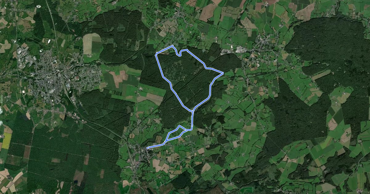 Маршрут Circuit des Gabelous на спутниковом снимке