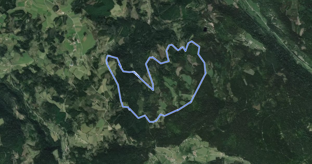 Маршрут Circuit des Huttes на спутниковом снимке
