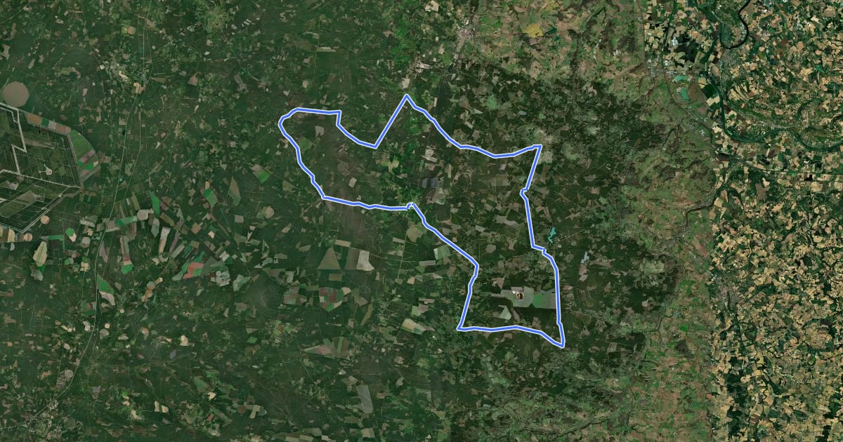 Маршрут Circuit des Landes de Gascogne - 80 km на спутниковом снимке