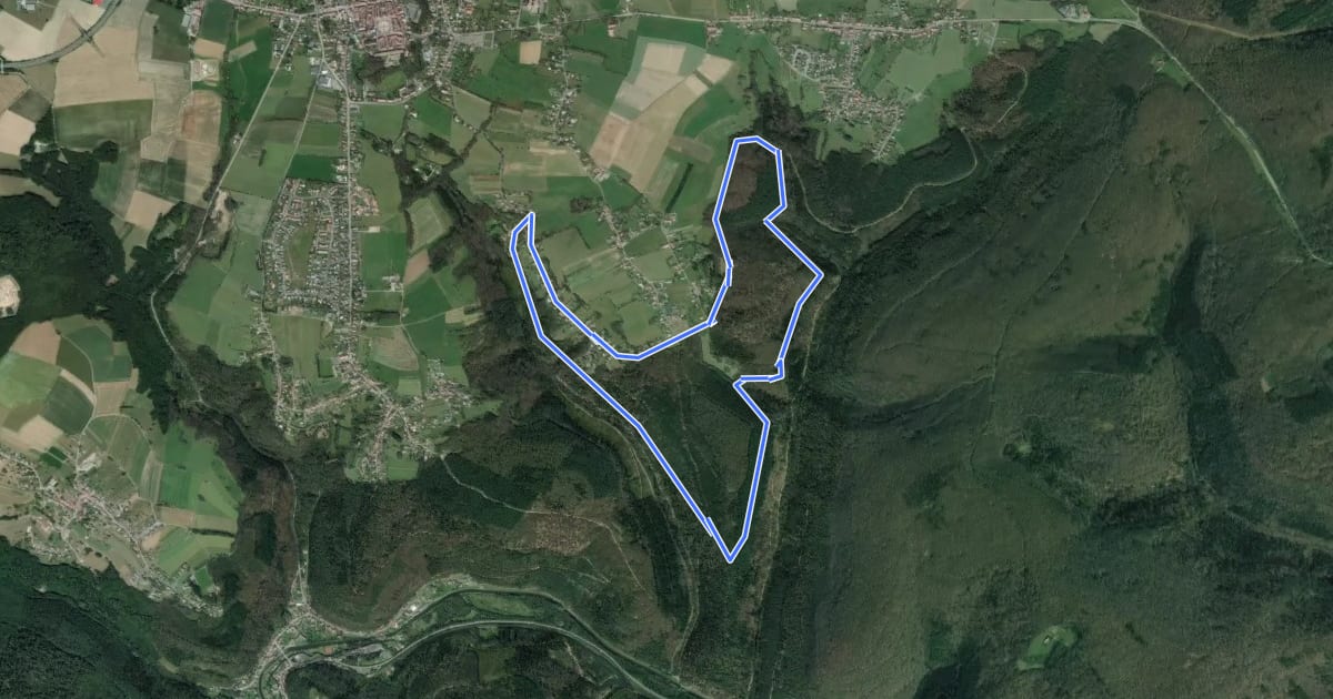 Маршрут Circuit des Lavoirs на спутниковом снимке