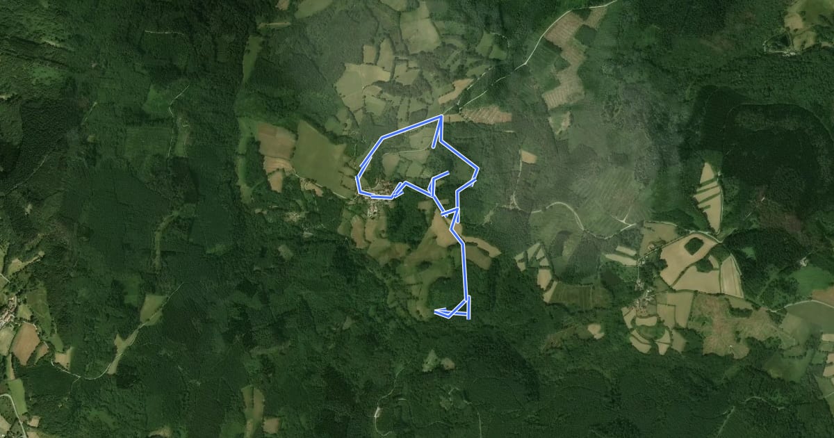 Маршрут Circuit des Loges 4 : Le Fieux на спутниковом снимке