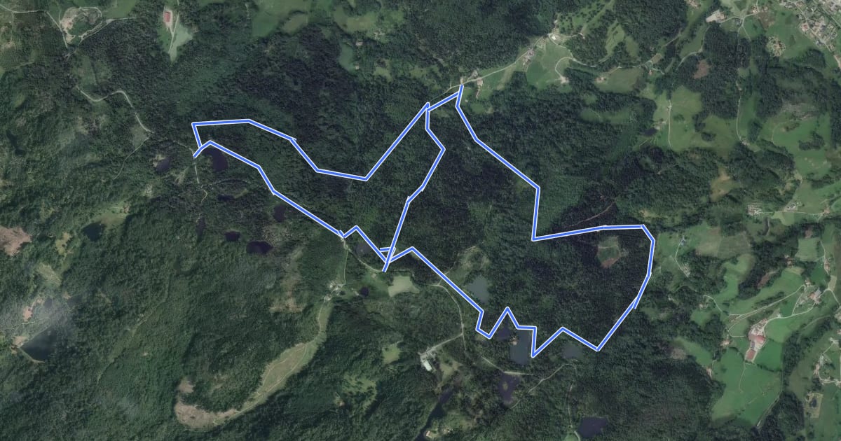 Маршрут Circuit des Noirs Étangs на спутниковом снимке
